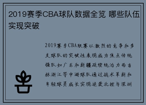 2019赛季CBA球队数据全览 哪些队伍实现突破