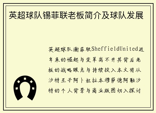 英超球队锡菲联老板简介及球队发展